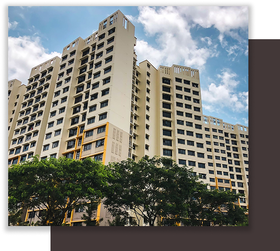 Jurong West St 65 Potrait HD with brown background